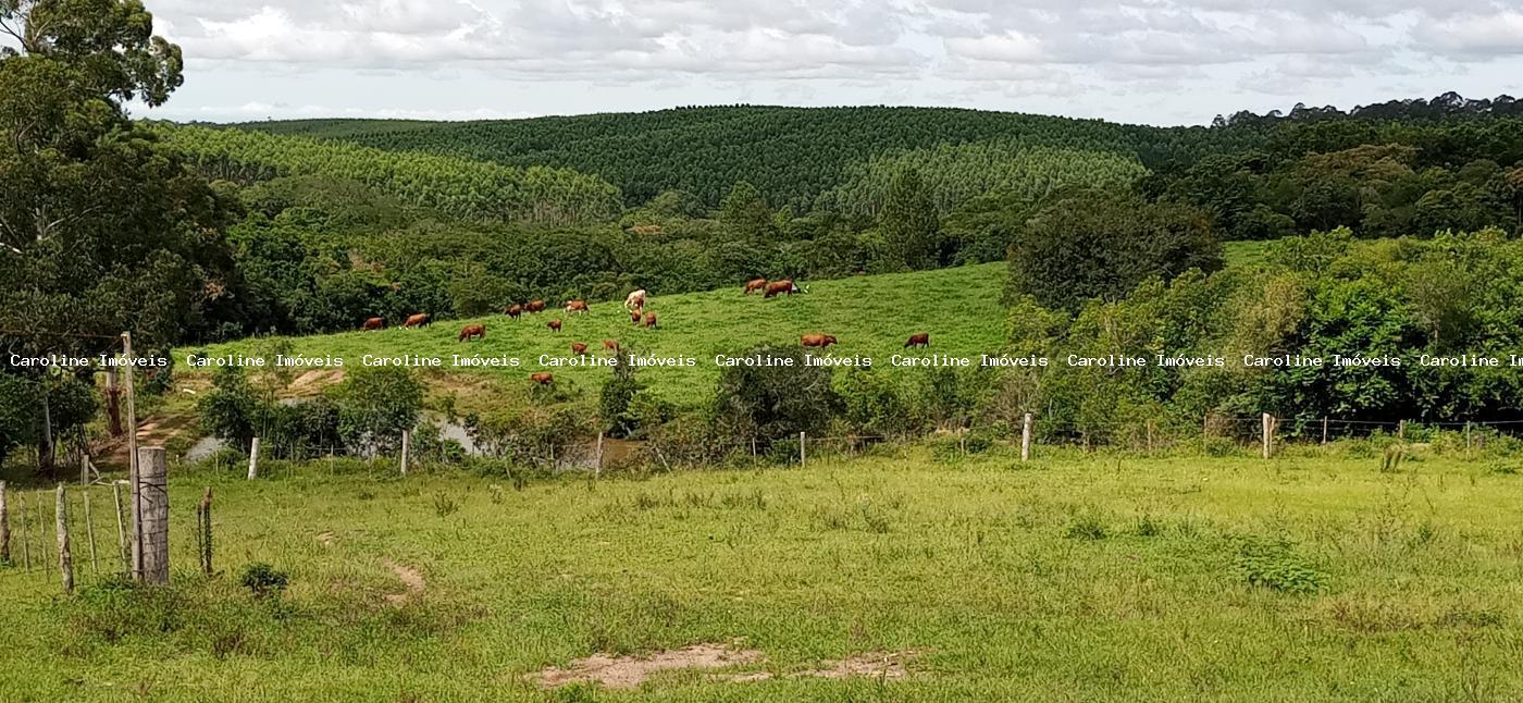 Sítio à venda com 2 quartos, 220000m² - Foto 19