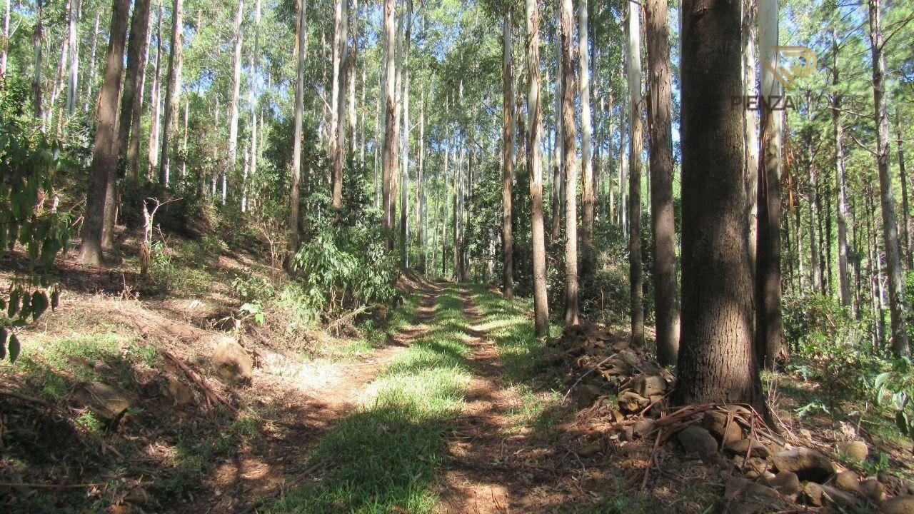 Terreno à venda, 223000M2 - Foto 24