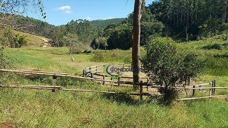 Chácara à venda com 5 quartos, 90000M2 - Foto 23