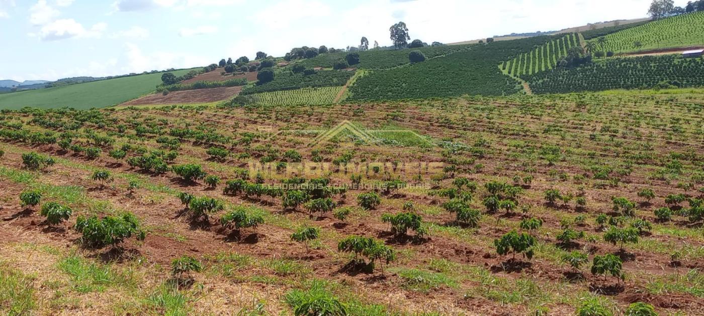 Fazenda à venda, 27m² - Foto 42