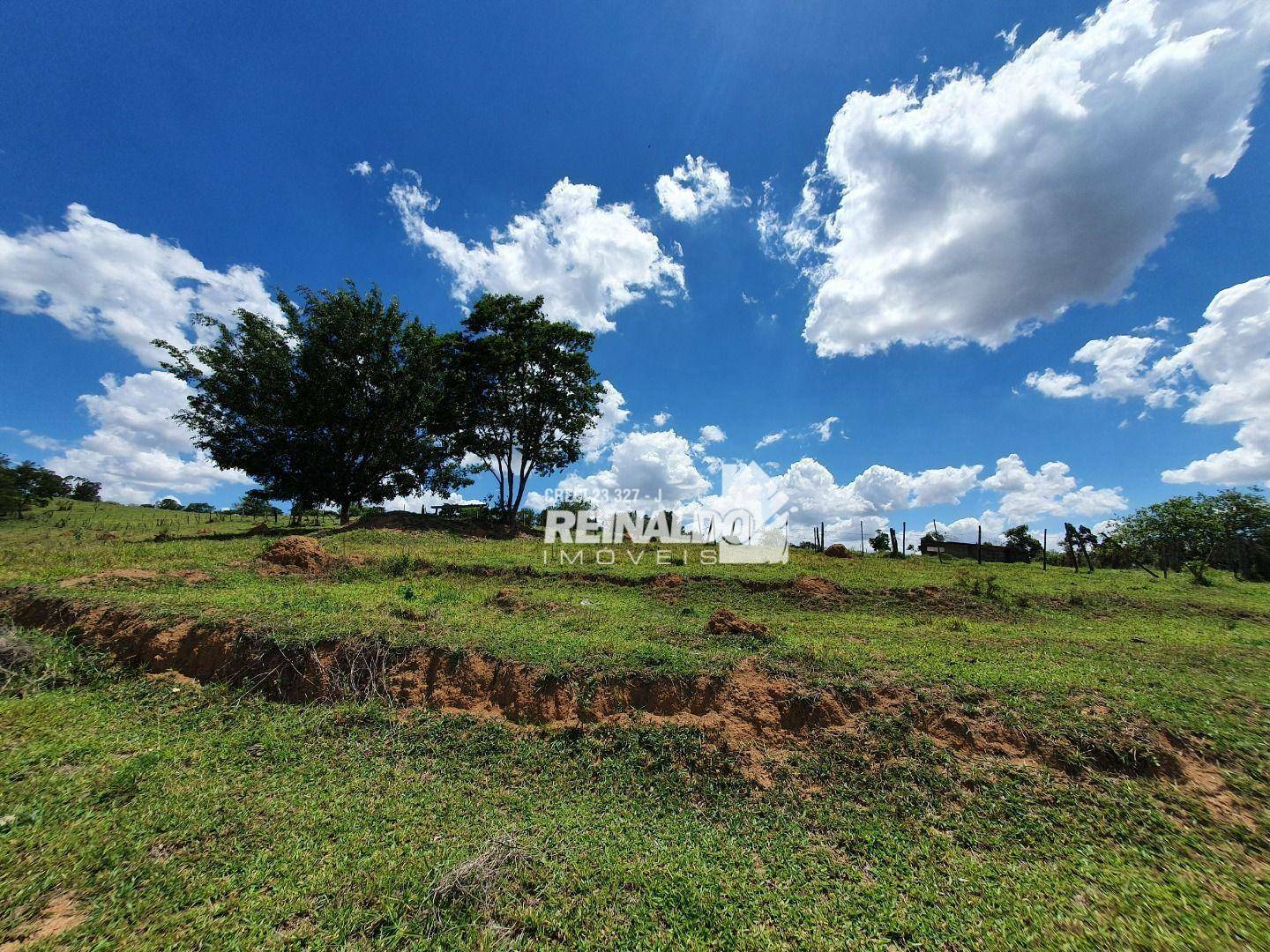 Terreno à venda, 36298M2 - Foto 5