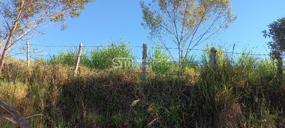 Fazenda à venda com 4 quartos, 72m² - Foto 32