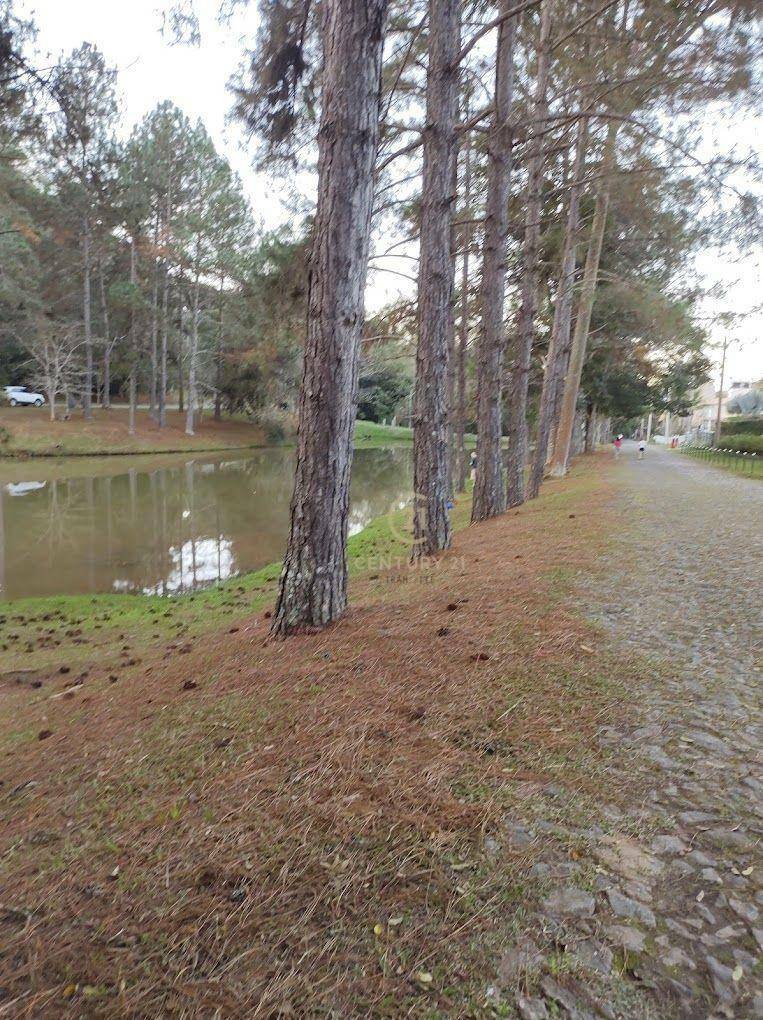 Casa de Condomínio à venda com 4 quartos, 296m² - Foto 31
