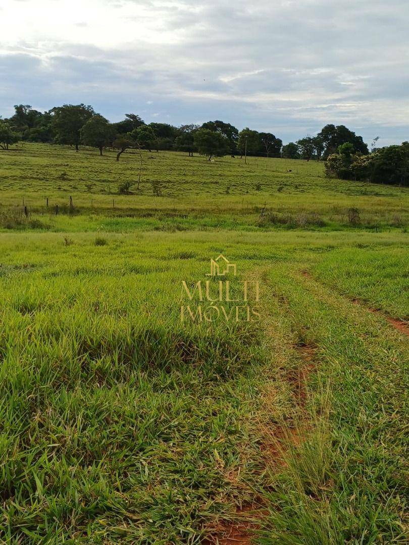 Sítio à venda, 48400M2 - Foto 12