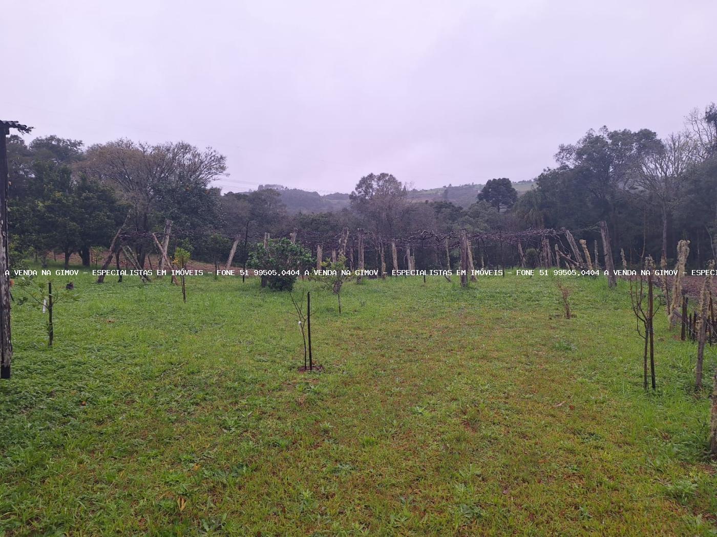 Fazenda à venda com 2 quartos, 141000m² - Foto 10