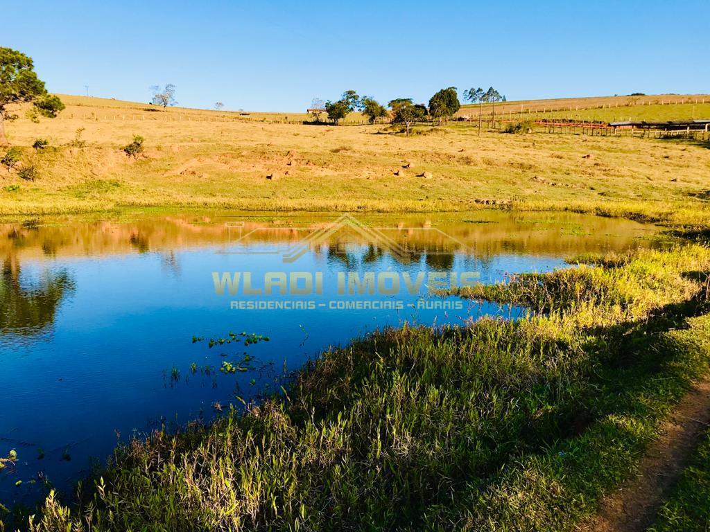 Fazenda à venda, 8m² - Foto 4