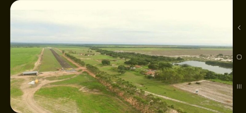 Fazenda-Sítio-Chácara, 17125 hectares - Foto 1