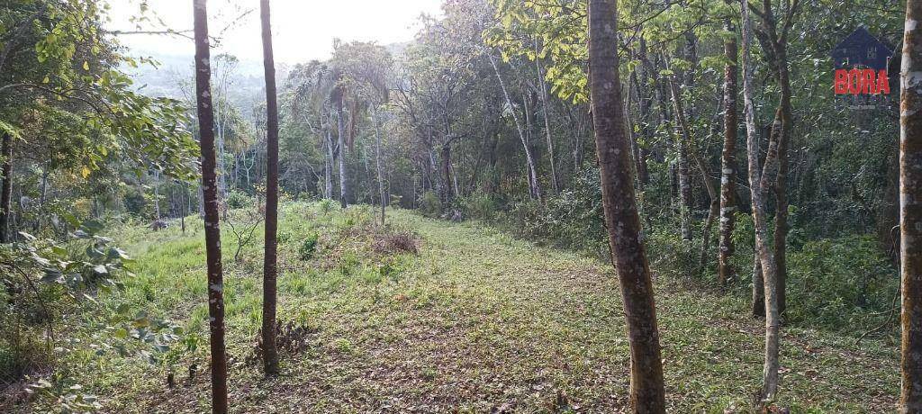 Terreno à venda, 6700M2 - Foto 4