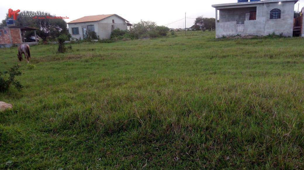 Terreno à venda, 250M2 - Foto 4