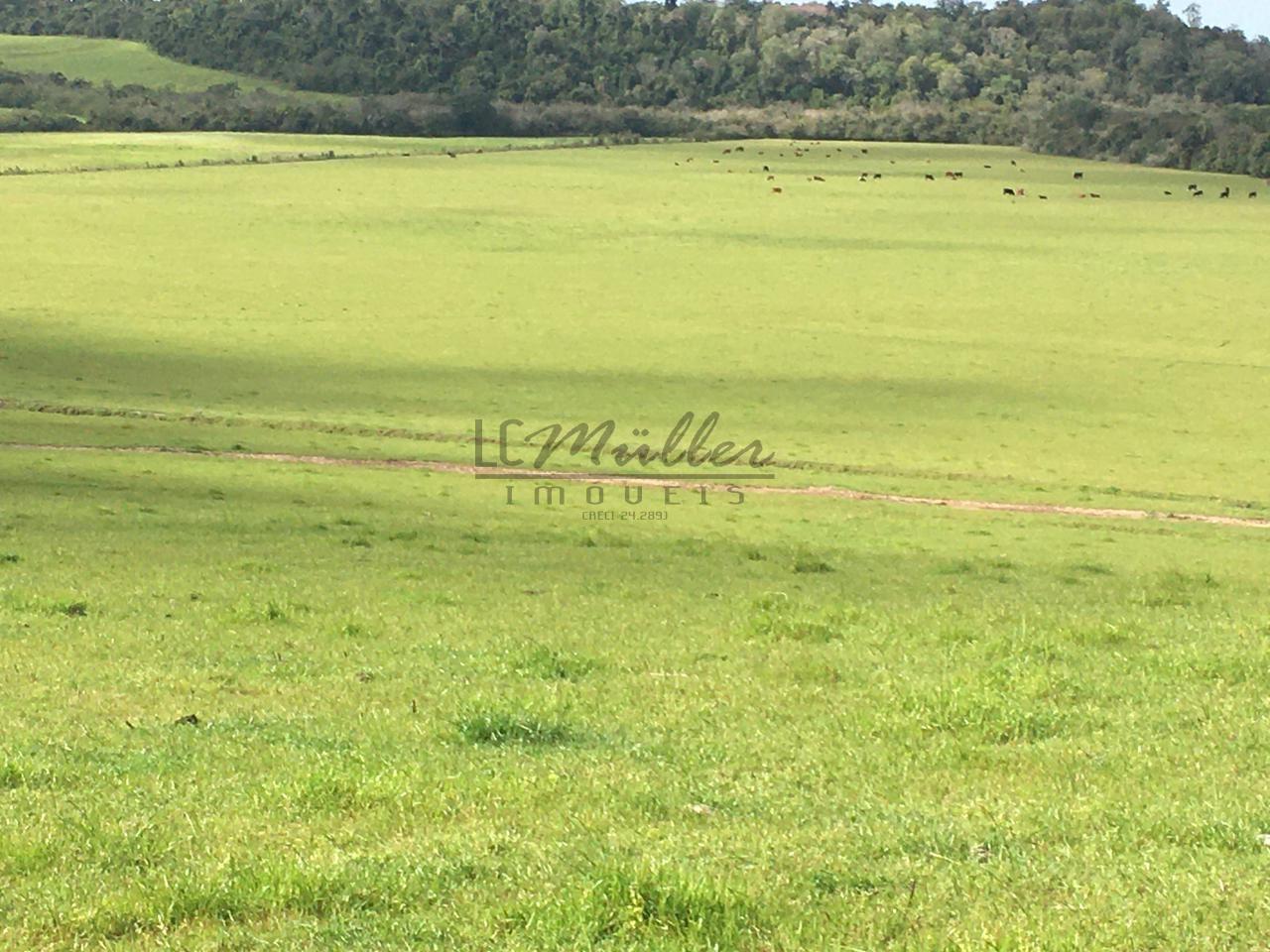 Fazenda à venda, 188m² - Foto 2