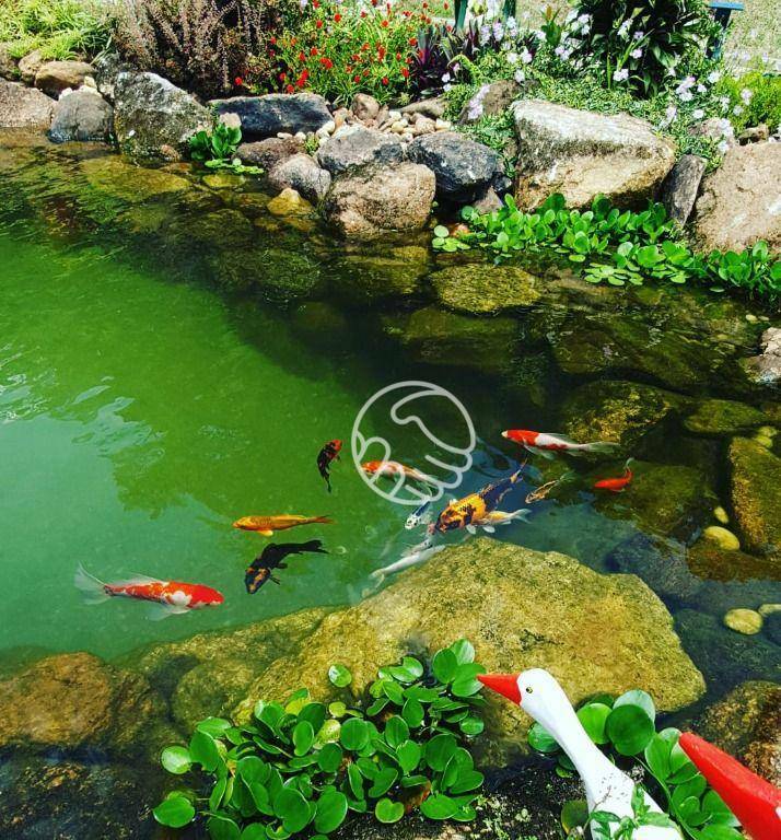 Sítio, 4 quartos, 2 hectares - Foto 21