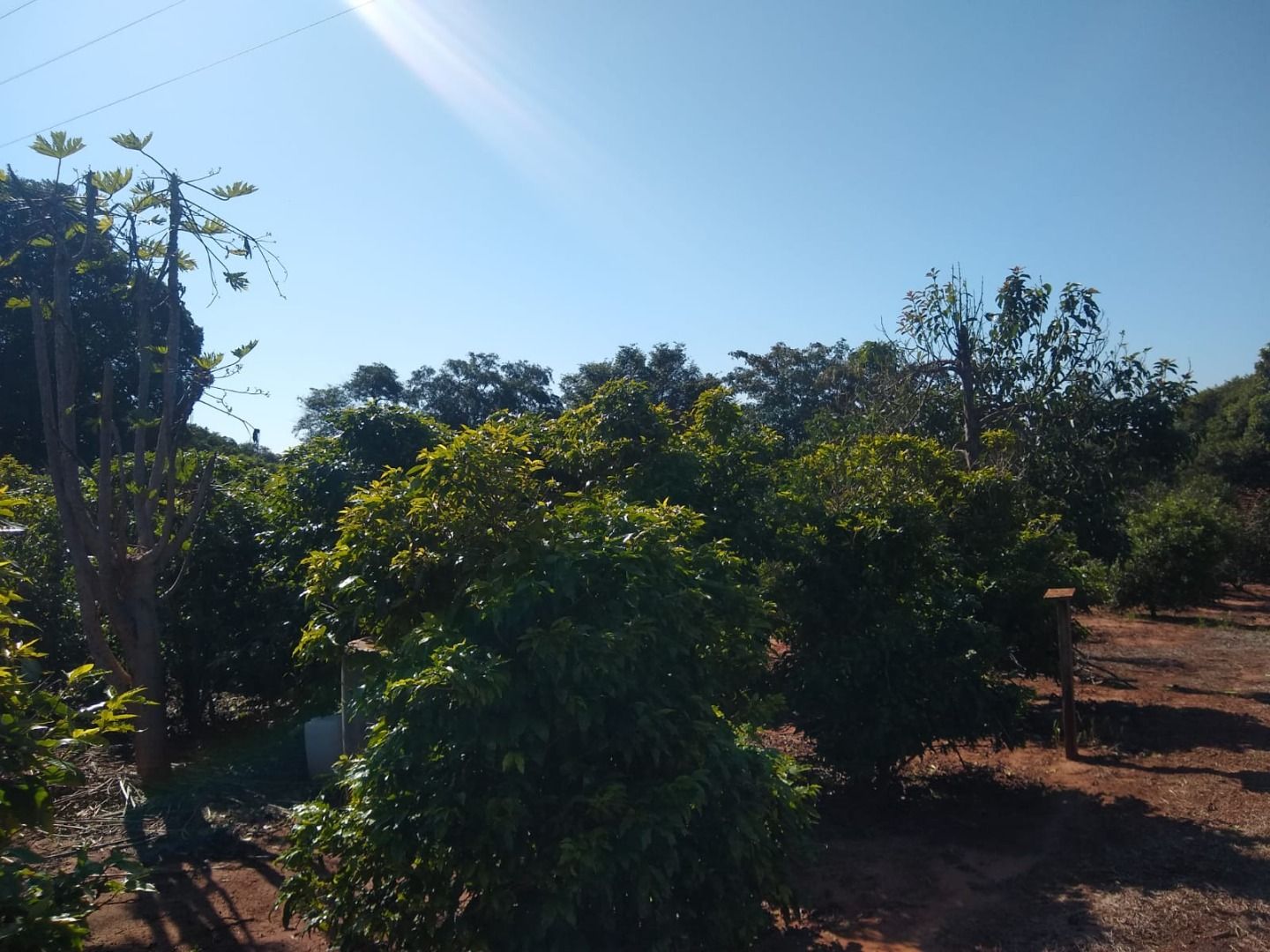 Terreno à venda, 181500M2 - Foto 7