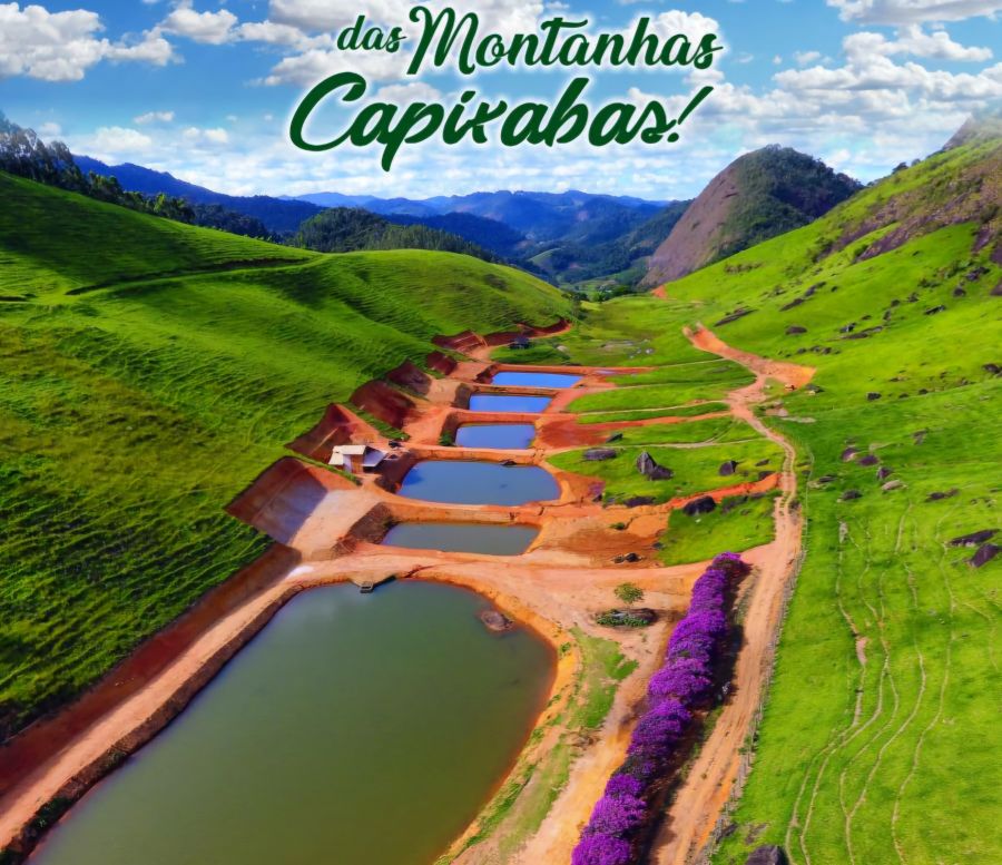 Terreno, 5 hectares - Foto 2