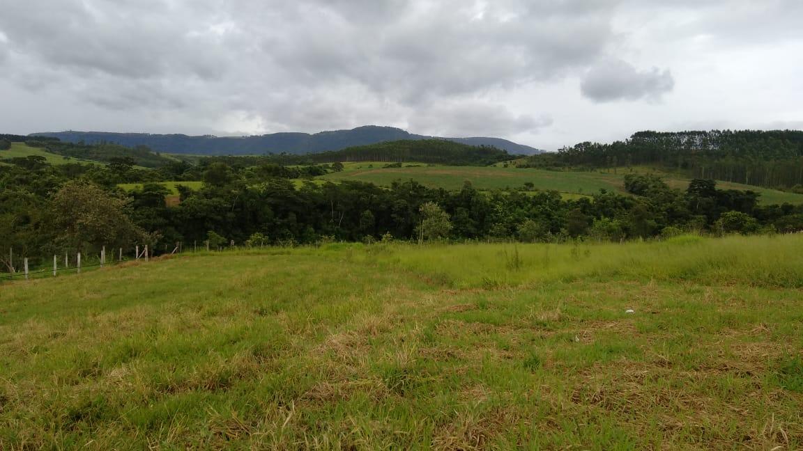 Fazenda à venda com 2 quartos - Foto 10