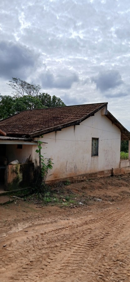 Sítio à venda com 3 quartos, 67000m² - Foto 13