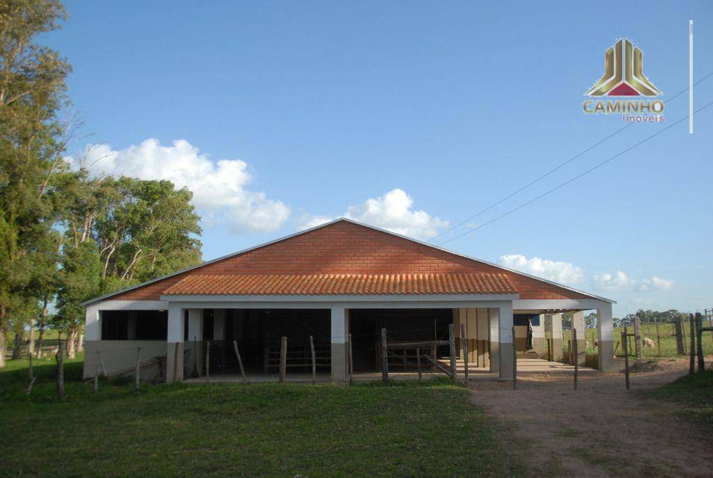 Fazenda à venda com 5 quartos, 33455000M2 - Foto 7