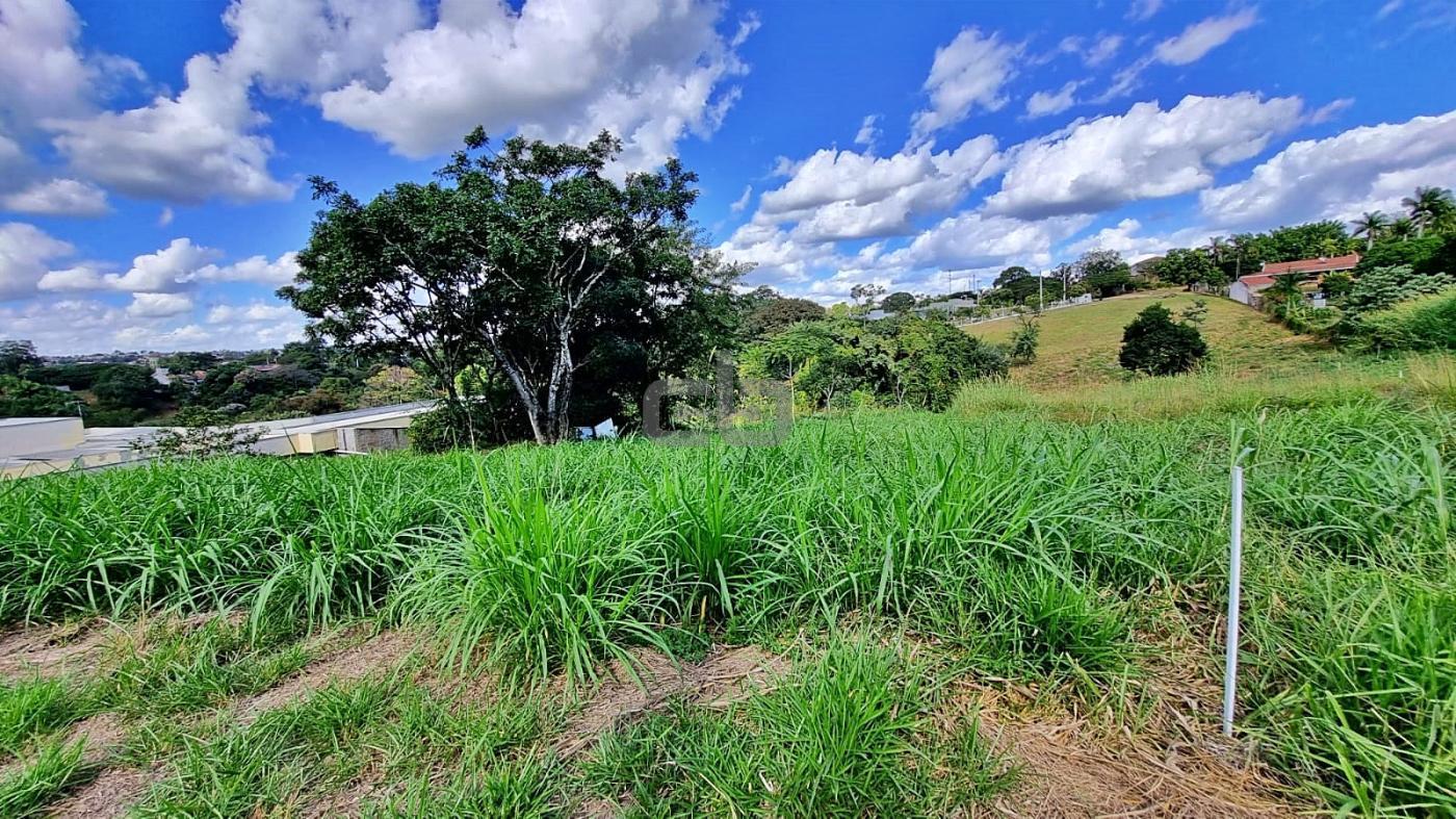 Terreno à venda, 2500m² - Foto 3