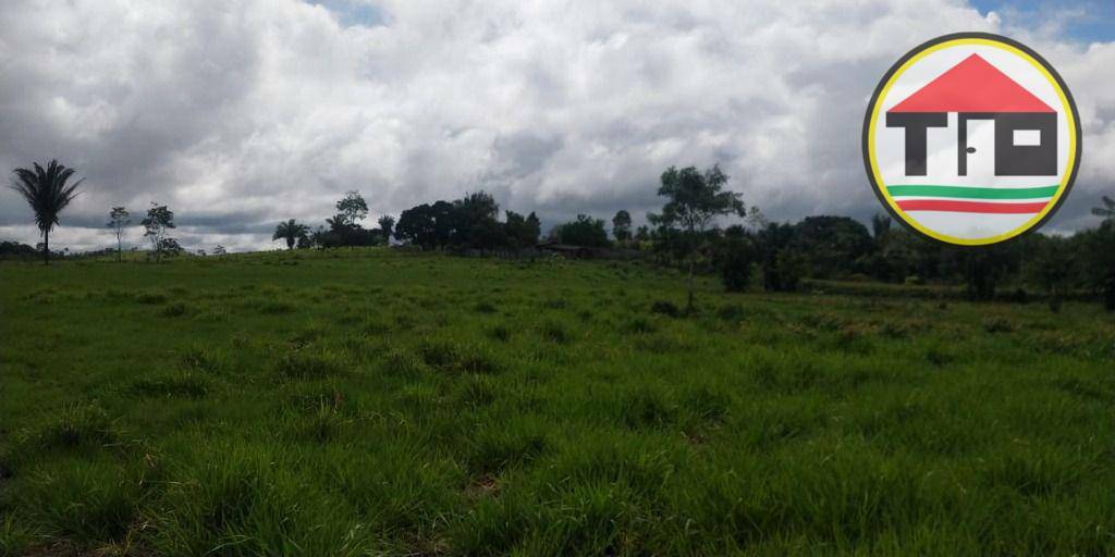 Fazenda, 145 hectares - Foto 8