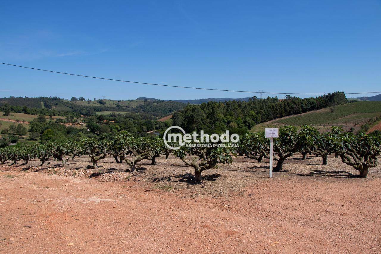 Terreno à venda, 56785M2 - Foto 23