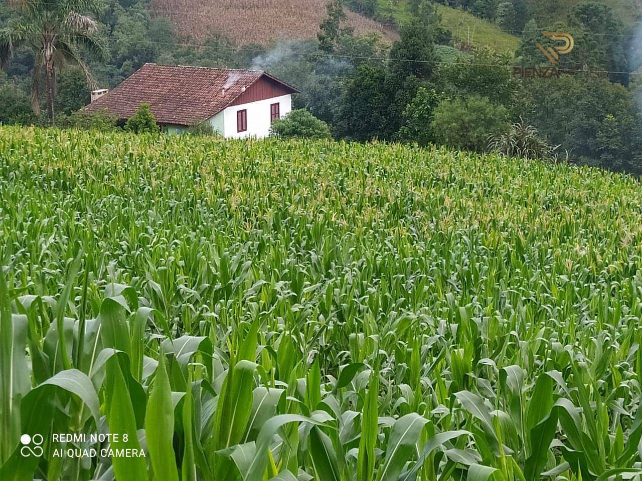 Terreno à venda, 169000M2 - Foto 30