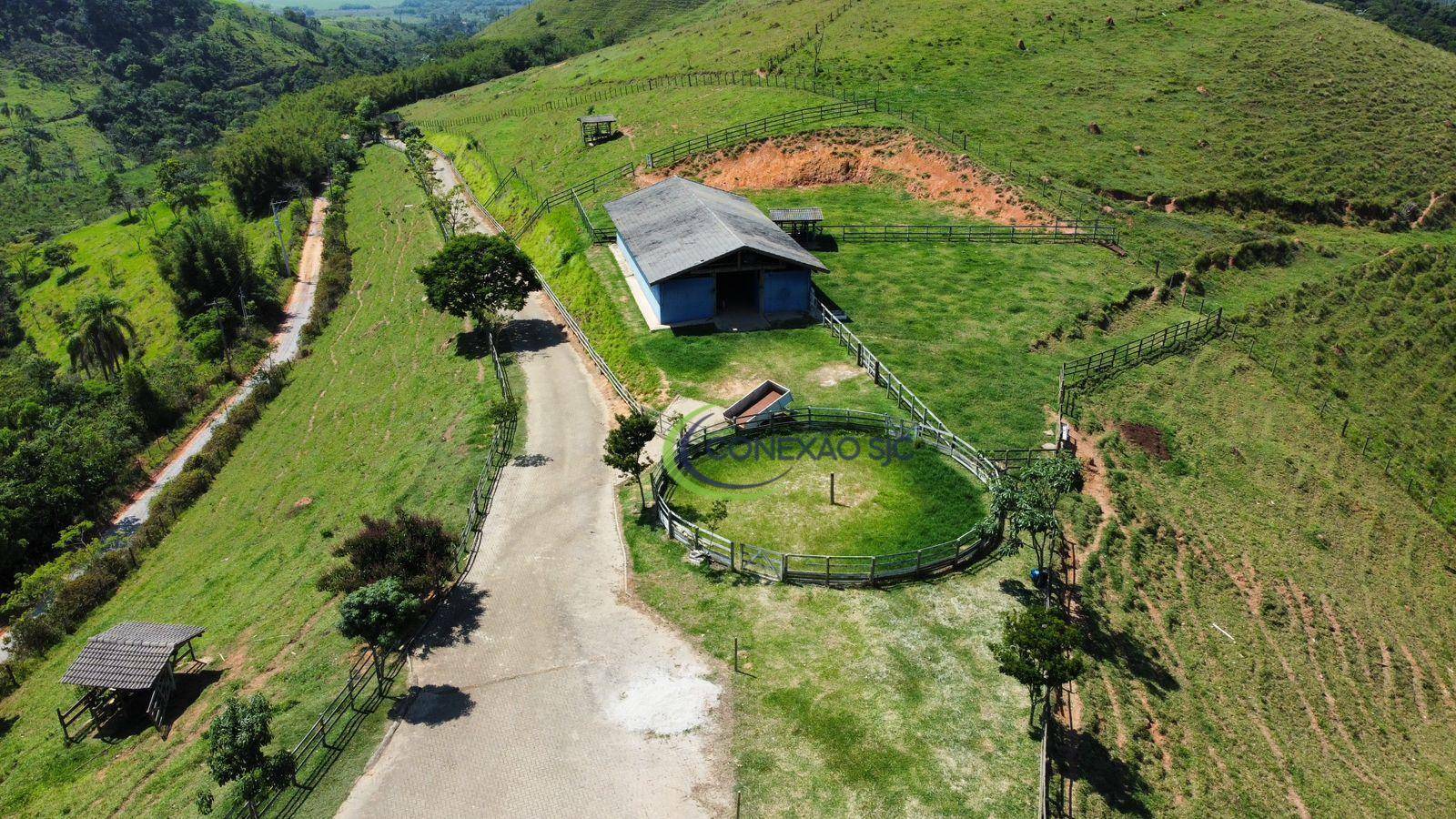 Haras e Área Rural Padrão à venda com 3 quartos, 1000m² - Foto 28