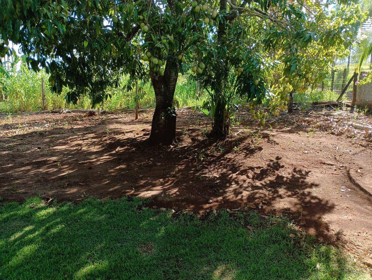 Chácara, 2 quartos, 5000 m² - Foto 3