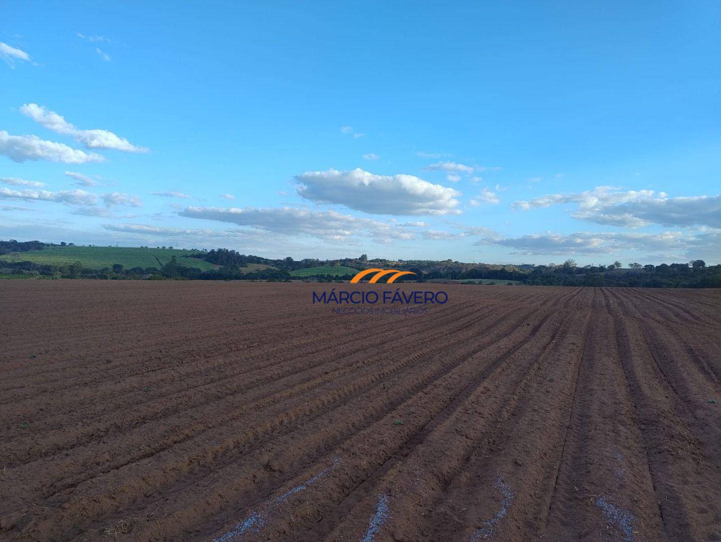 Sítio, 77 hectares - Foto 4