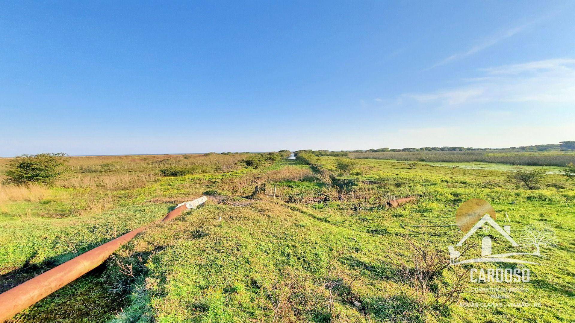 Fazenda, 183 hectares - Foto 10