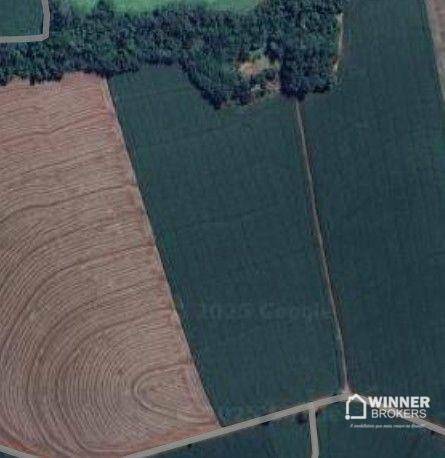 Sítio, 12 hectares - Foto 1