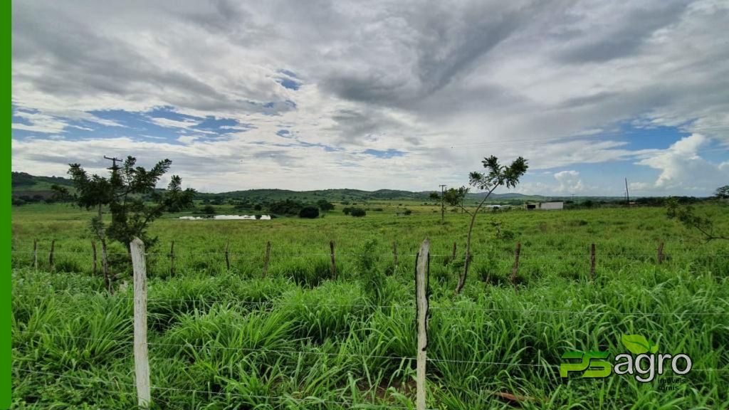 Fazenda-Sítio-Chácara, 820 hectares - Foto 2