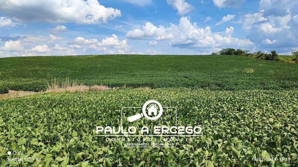 Sítio, 12 hectares - Foto 2