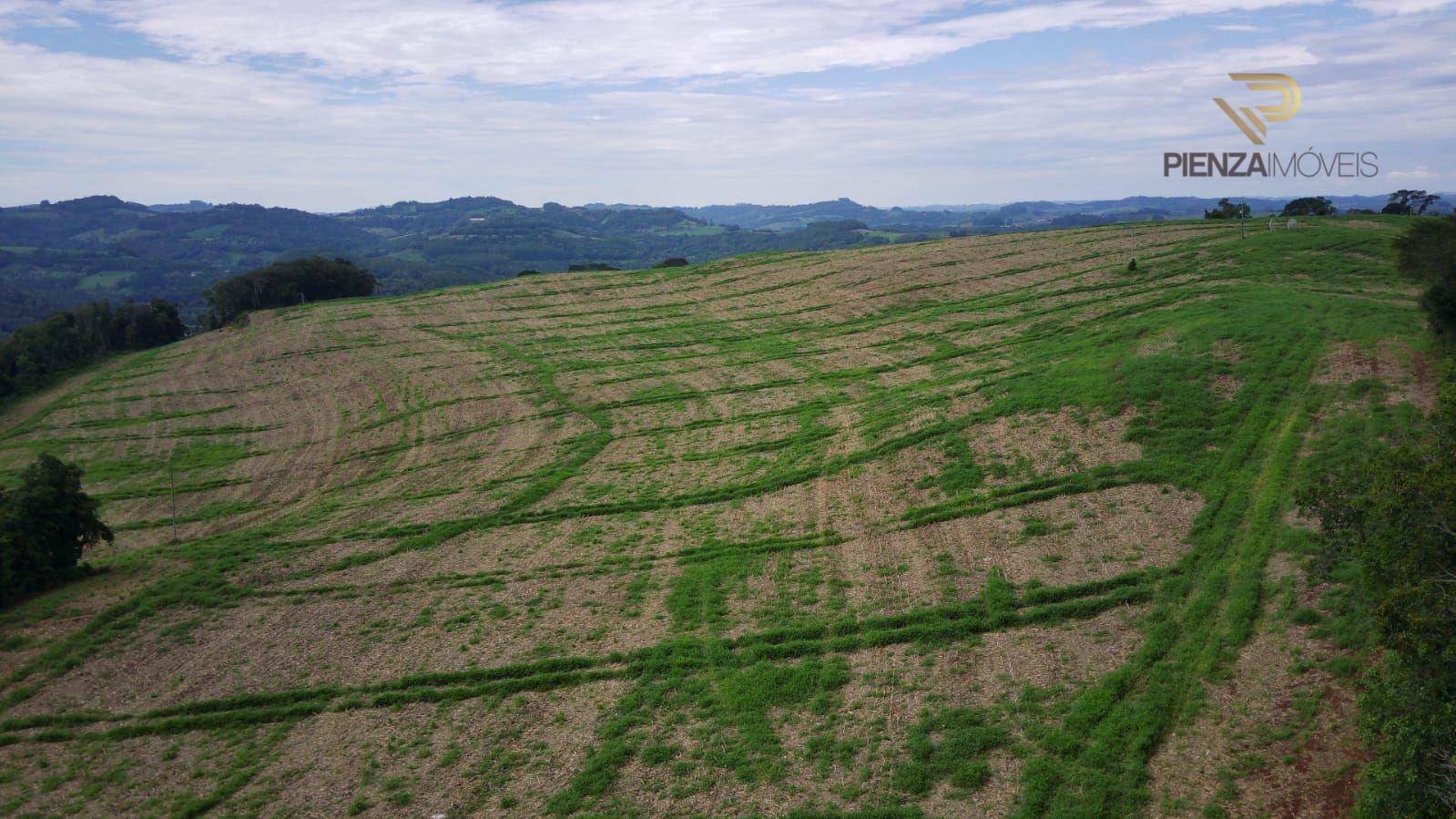 Terreno à venda, 60000M2 - Foto 1