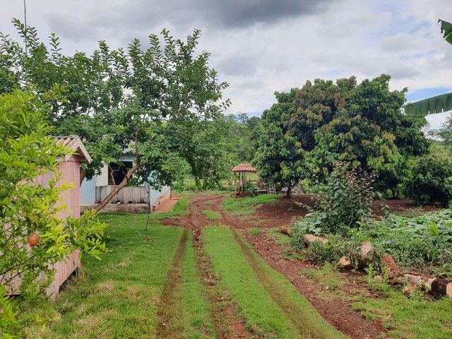 Chácara à venda com 3 quartos, 30000M2 - Foto 5