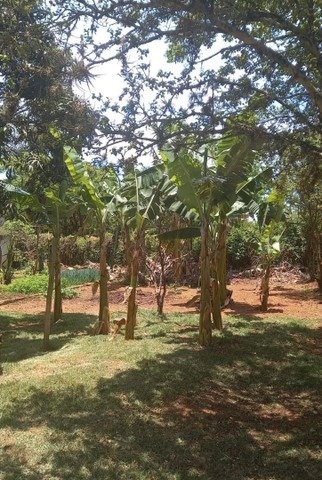 Fazenda à venda com 4 quartos, 5664m² - Foto 6