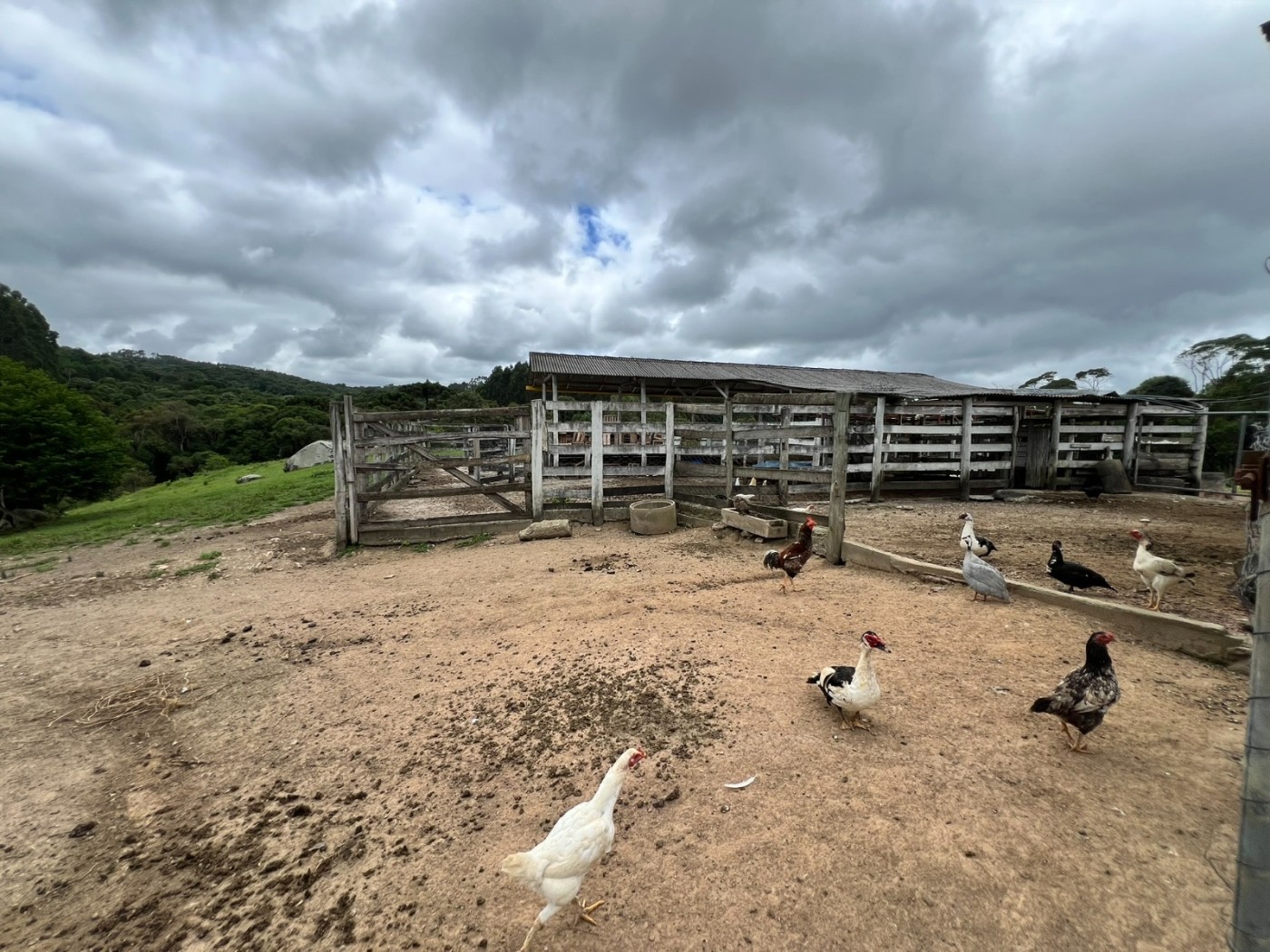 Chácara à venda, 18100m² - Foto 13