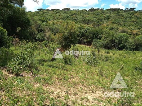 Fazenda-Sítio-Chácara, 2 hectares - Foto 4