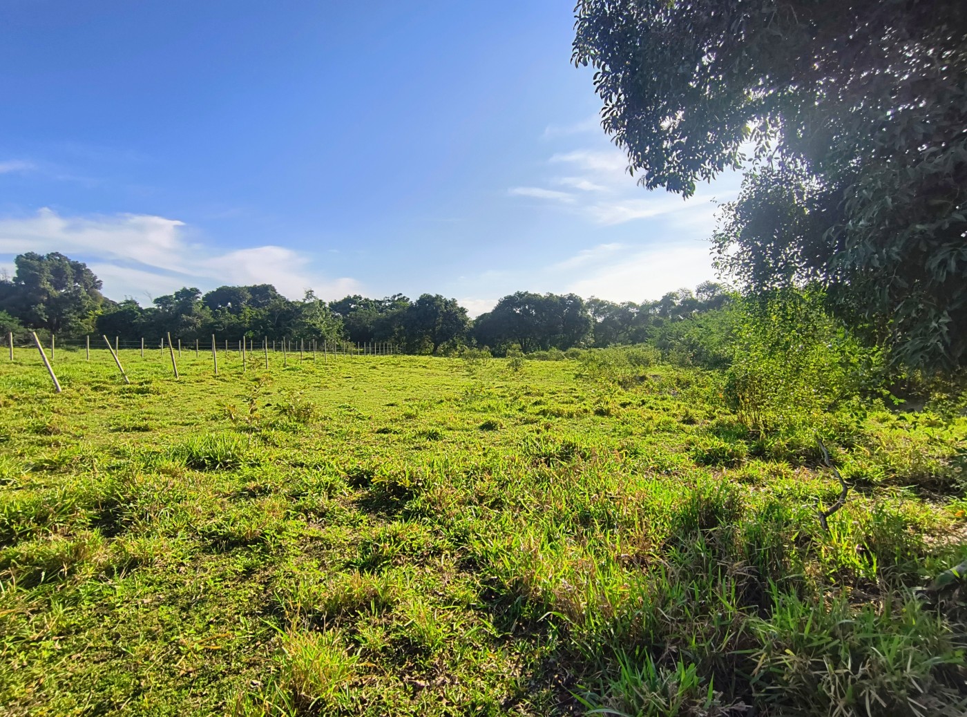 Terreno à venda, 2350m² - Foto 4
