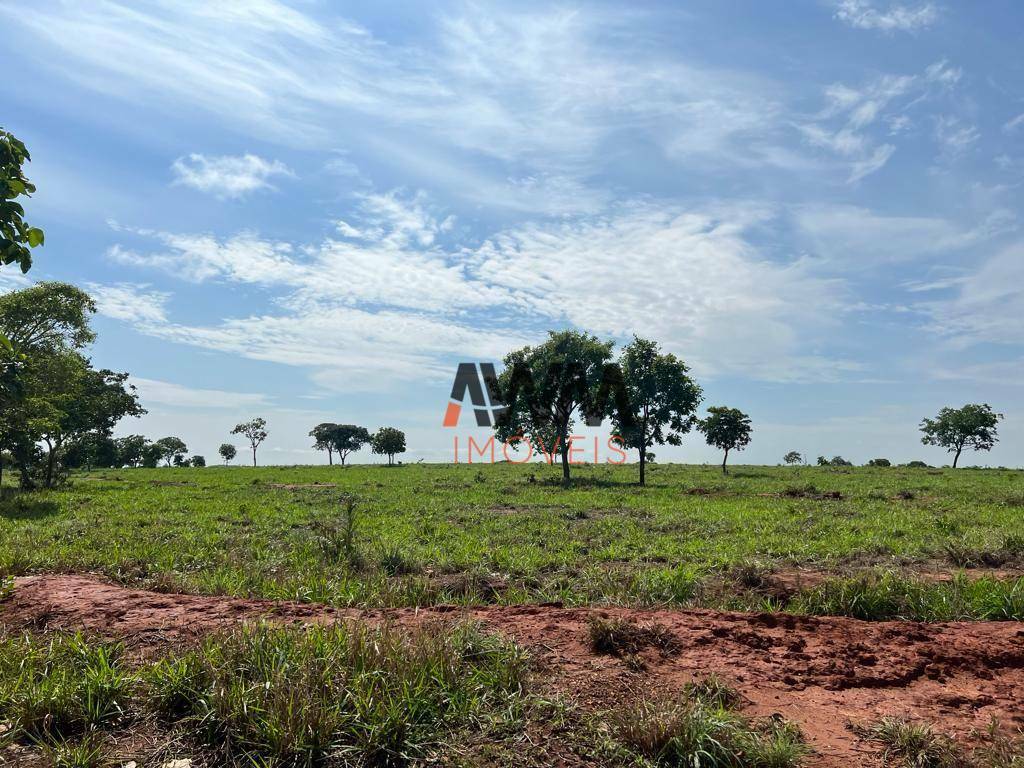 Fazenda à venda, 7260000M2 - Foto 15