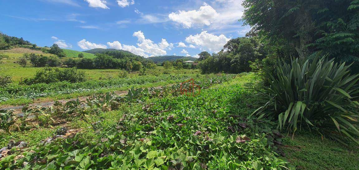 Sítio à venda, 100000M2 - Foto 24