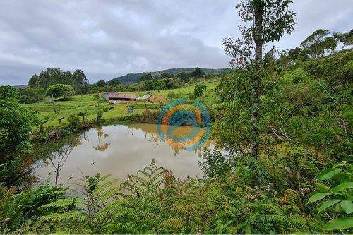 Chácara, 2 hectares - Foto 11