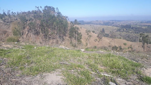 Terreno à venda, 144000M2 - Foto 13