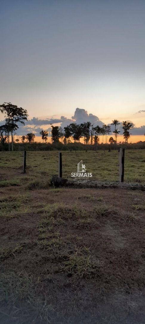 Fazenda à venda com 3 quartos, 726000M2 - Foto 12