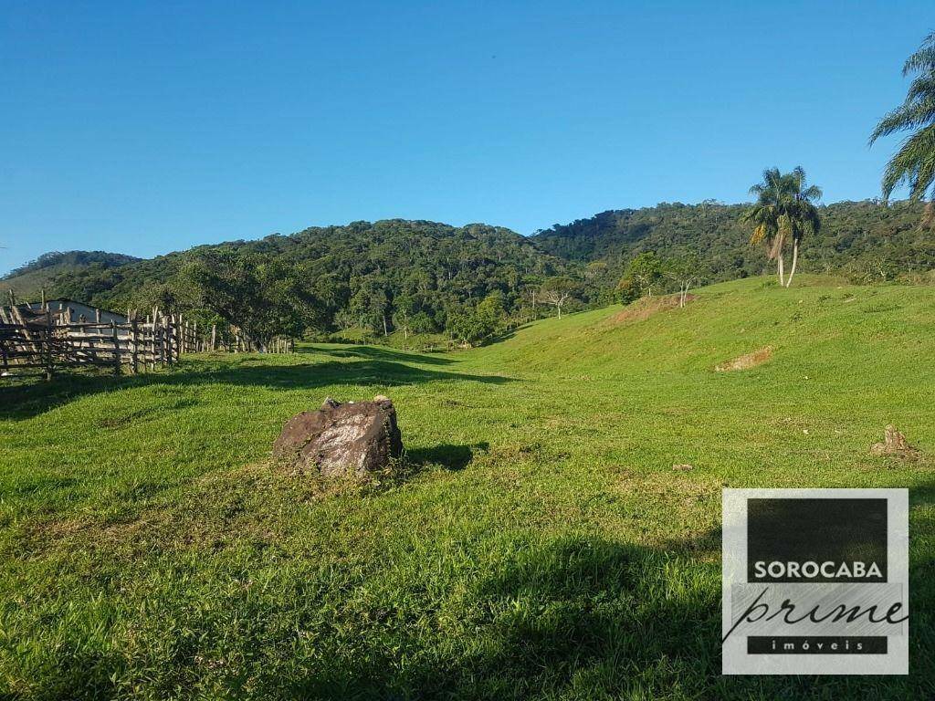 Fazenda à venda, 202000M2 - Foto 33