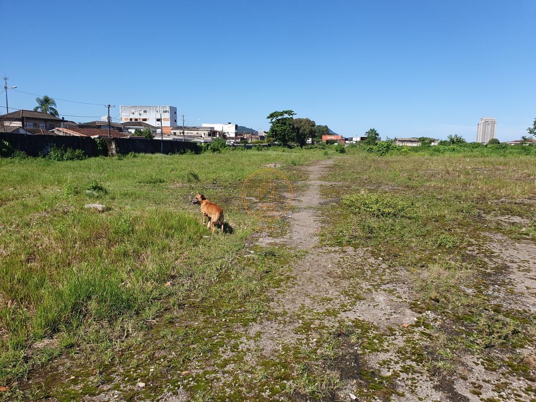 Terreno à venda e aluguel, 24m² - Foto 9