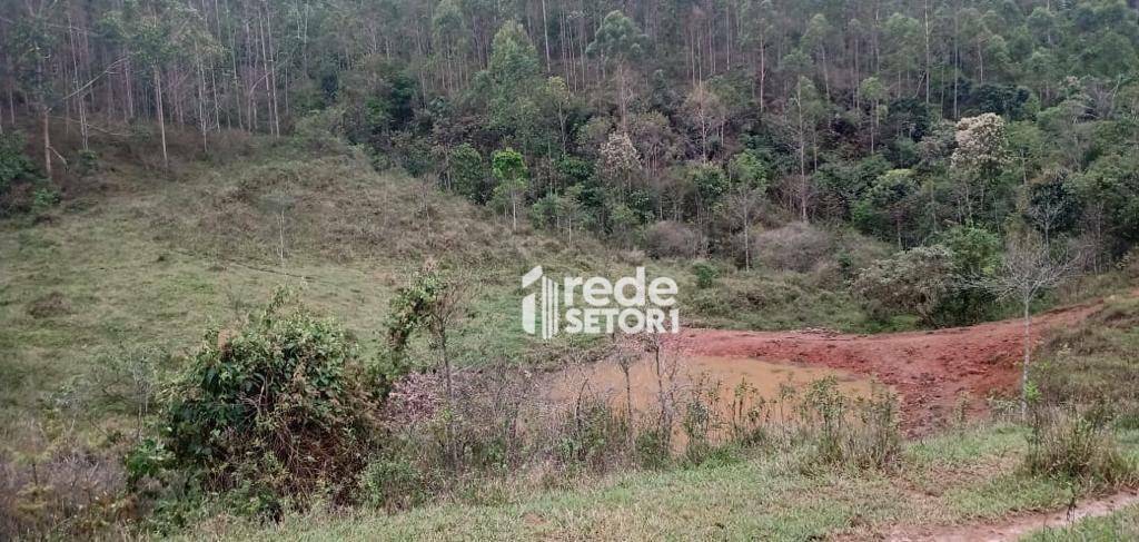 Fazenda à venda com 3 quartos, 1110000M2 - Foto 60