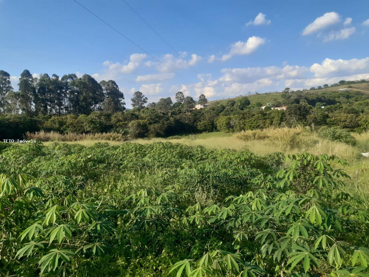 Fazenda à venda com 2 quartos, 10000m² - Foto 27