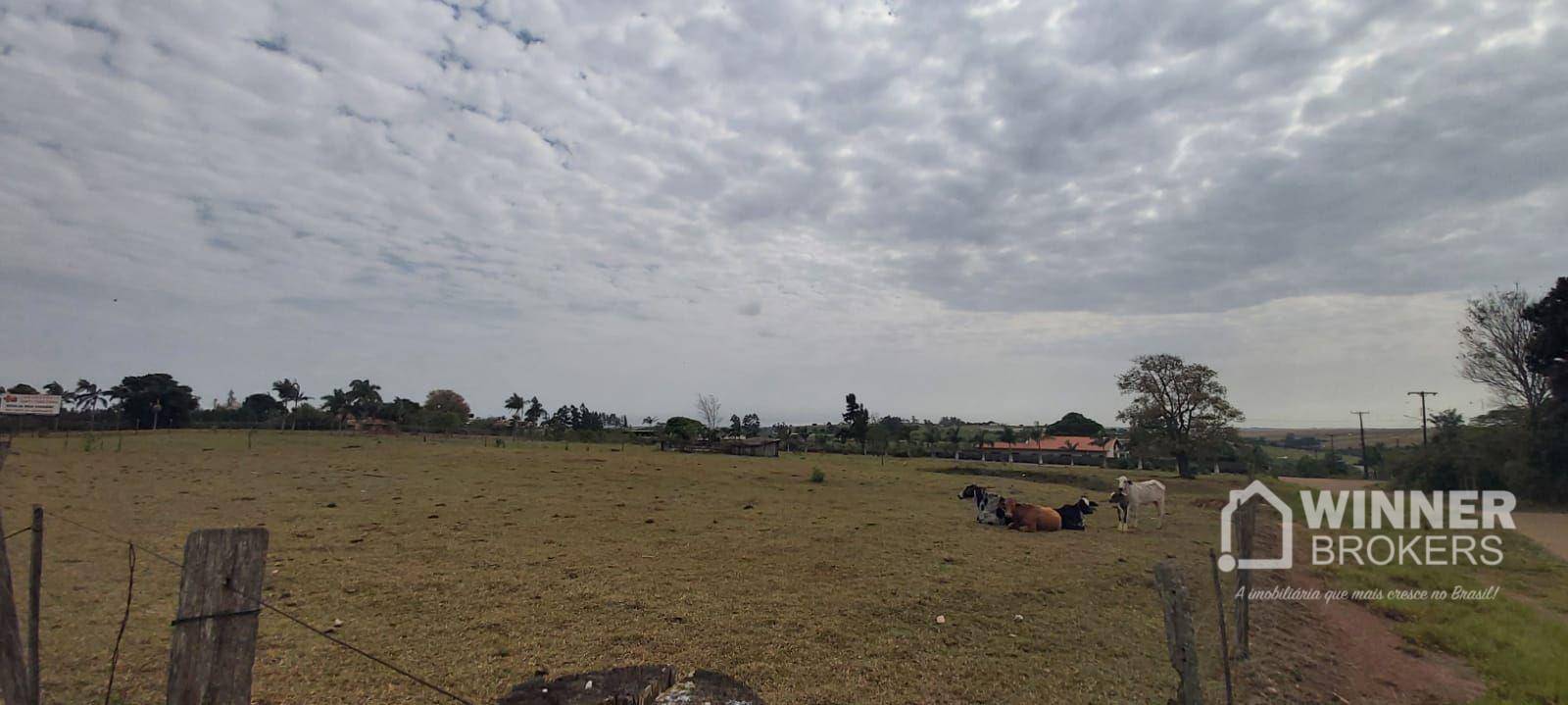 Terreno à venda, 11000M2 - Foto 7