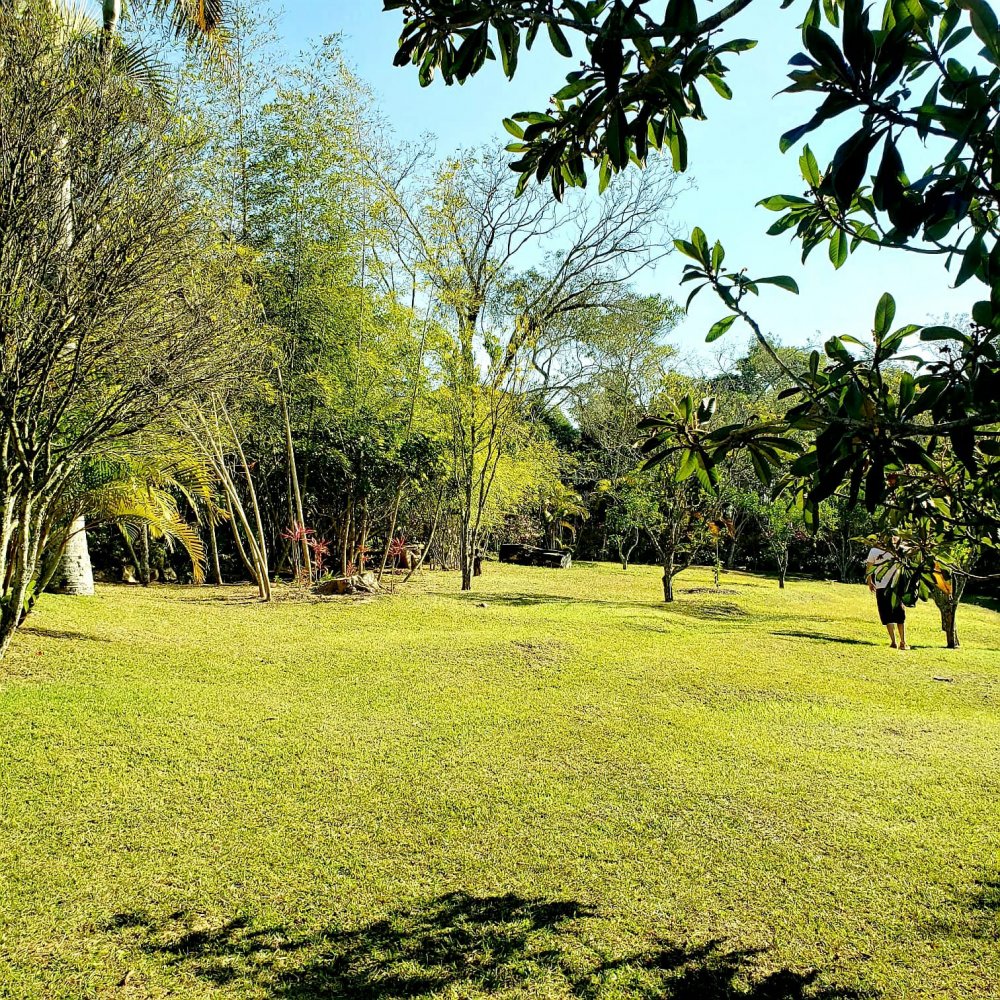 Fazenda à venda com 3 quartos, 24000m² - Foto 15