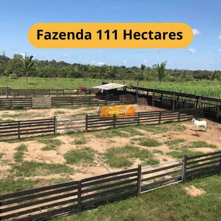 Fazenda-Sítio-Chácara, 111 hectares - Foto 1