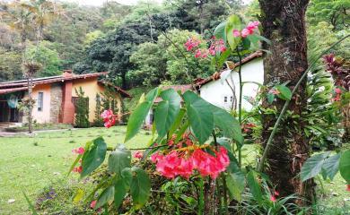 Fazenda à venda com 3 quartos, 100000m² - Foto 31